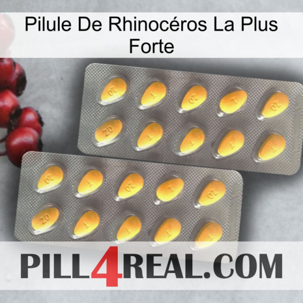 Pilule De Rhinocéros La Plus Forte cialis2